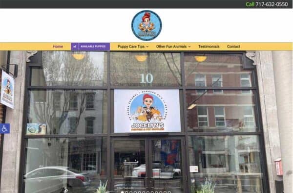 Storefront with large glass windows displaying a sign for Jocelyns Puppies & Out Animals above the entrance. Reflections of buildings and trees are visible in the glass. The address number 10 is above the door, alongside their website portfolio details.